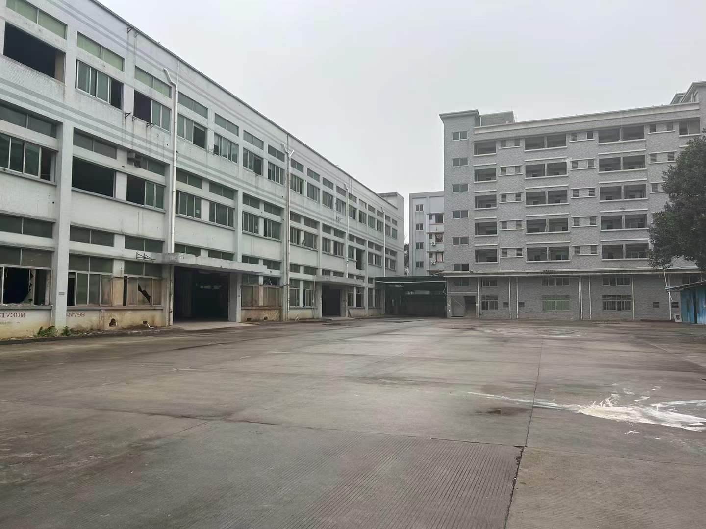 深圳龙华新出原房东经典小独院厂房出租
