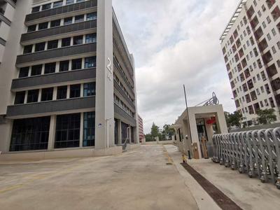 深圳市公明镇全新独院厂房招租，上市公司形象