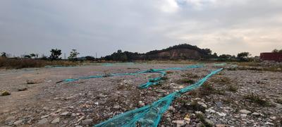 深圳市龙岗区60000平地皮出租